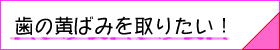 ホワイトニングへのリンクボタン